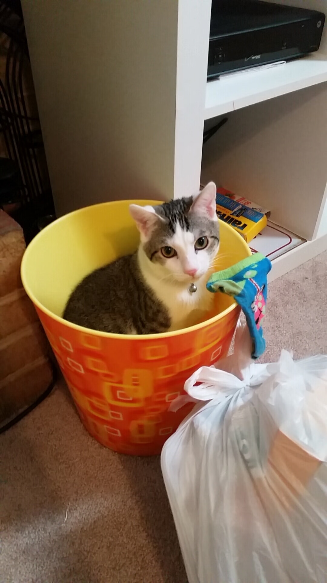 今年联盟助攻榜:你最喜欢谁的“神级助攻”?,联盟一个助攻多少钱